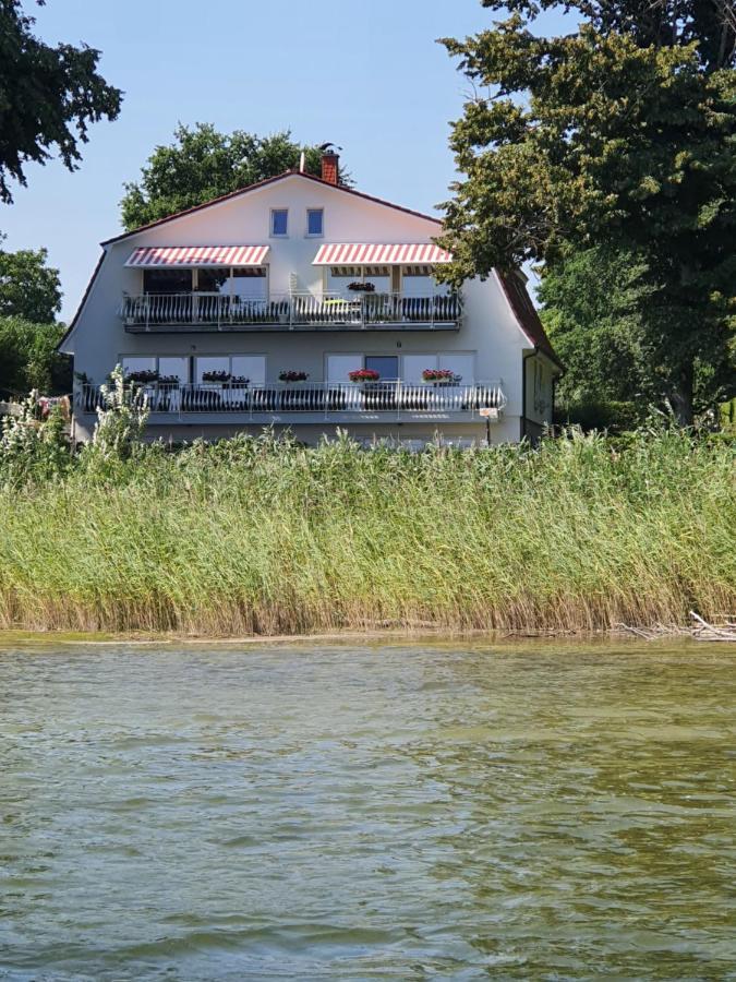 פלאו אם זה Villa Seeschwalbe Plau מראה חיצוני תמונה